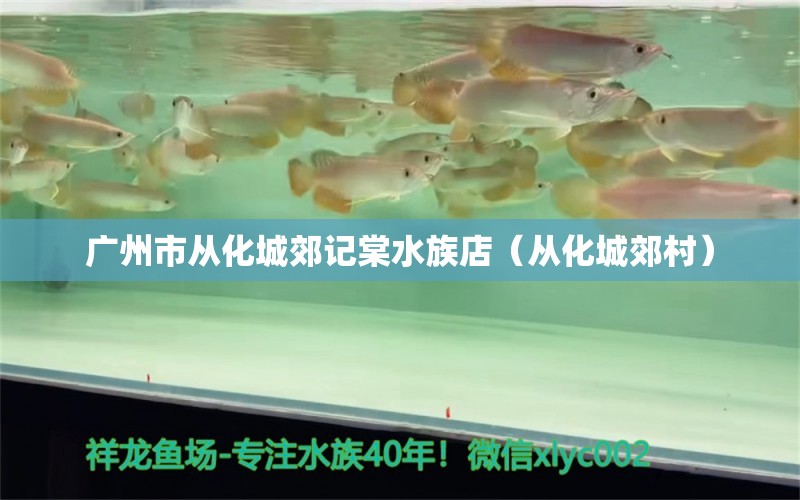 广州市从化城郊记棠水族店（从化城郊村）