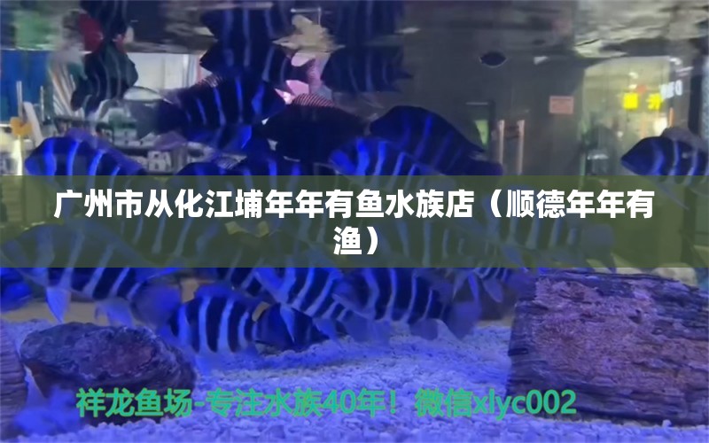 广州市从化江埔年年有鱼水族店（顺德年年有渔）