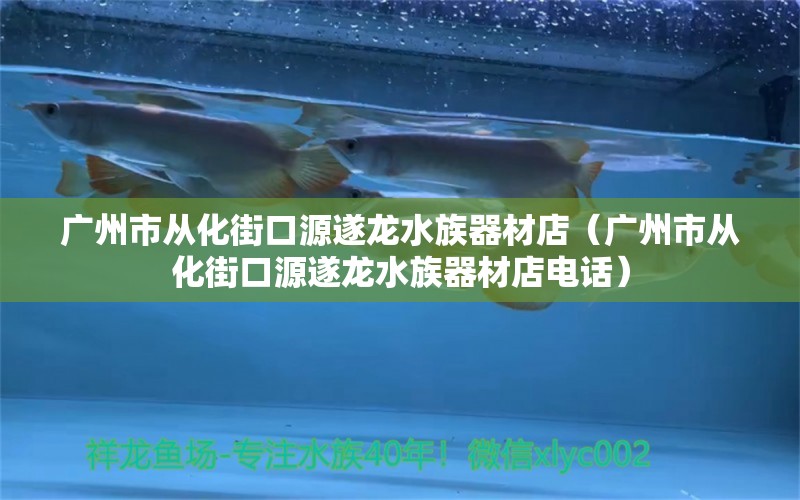 广州市从化街口源遂龙水族器材店（广州市从化街口源遂龙水族器材店电话）