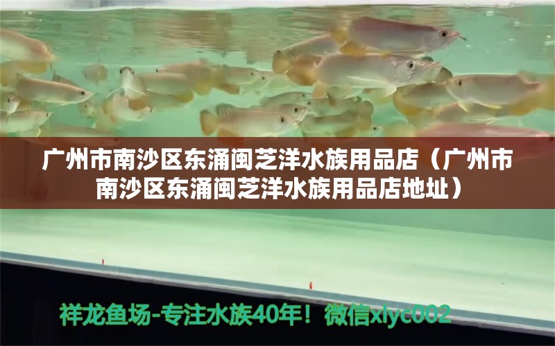 广州市南沙区东涌闽芝洋水族用品店（广州市南沙区东涌闽芝洋水族用品店地址） 水族用品