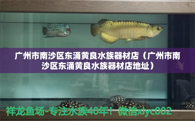 广州市南沙区东涌黄良水族器材店（广州市南沙区东涌黄良水族器材店地址）