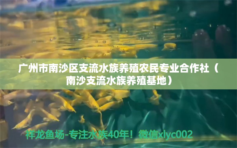 广州市南沙区支流水族养殖农民专业合作社（南沙支流水族养殖基地） 全国水族馆企业名录