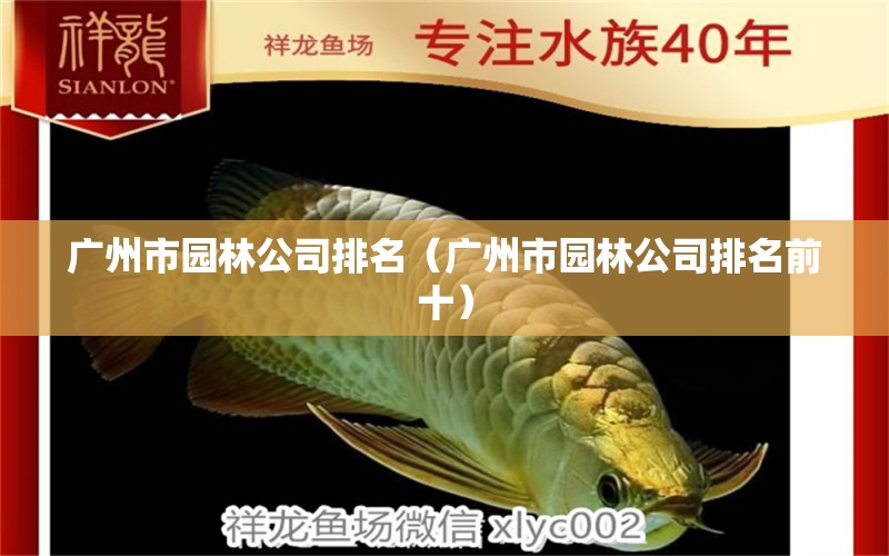 广州市园林公司排名（广州市园林公司排名前十） 祥龙水族医院