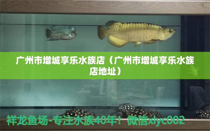 广州市增城享乐水族店（广州市增城享乐水族店地址） 全国水族馆企业名录