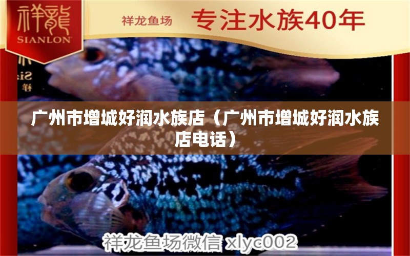 广州市增城好润水族店（广州市增城好润水族店电话） 全国水族馆企业名录