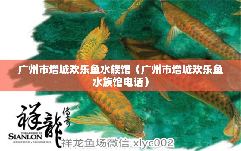 广州市增城欢乐鱼水族馆（广州市增城欢乐鱼水族馆电话）