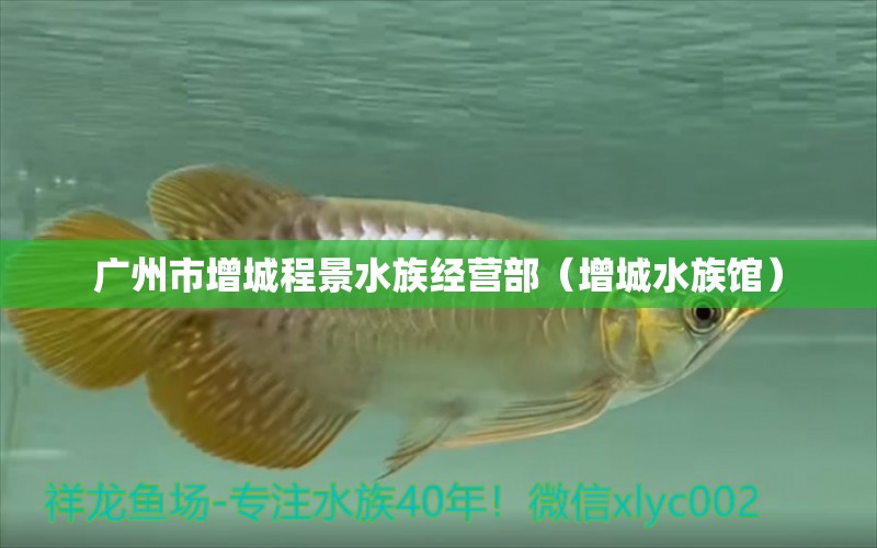 广州市增城程景水族经营部（增城水族馆）