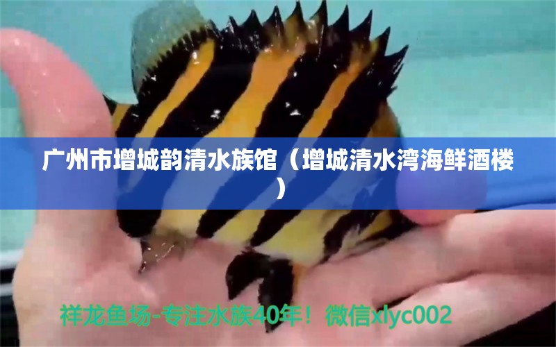 广州市增城韵清水族馆（增城清水湾海鲜酒楼） 全国水族馆企业名录