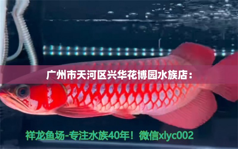 广州市天河区兴华花博园水族店： 全国水族馆企业名录