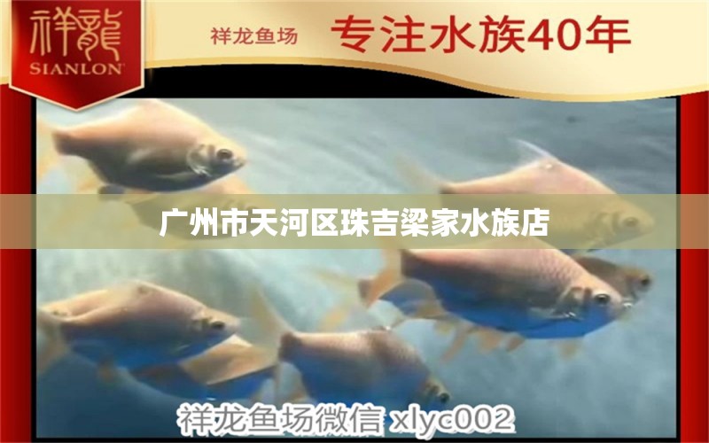 广州市天河区珠吉梁家水族店 全国水族馆企业名录 第2张