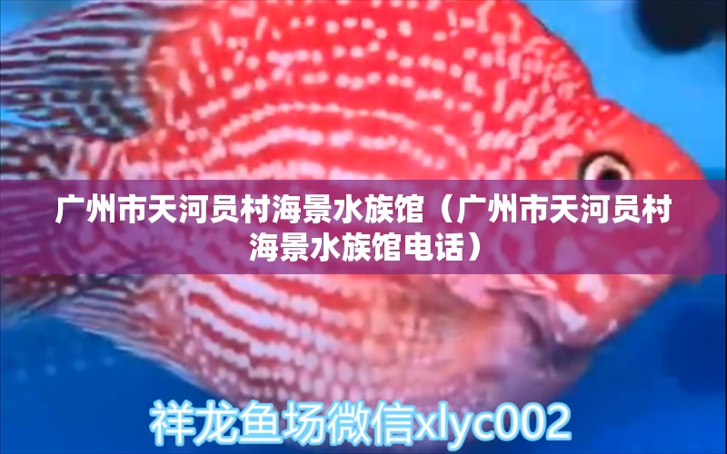 广州市天河员村海景水族馆（广州市天河员村海景水族馆电话）