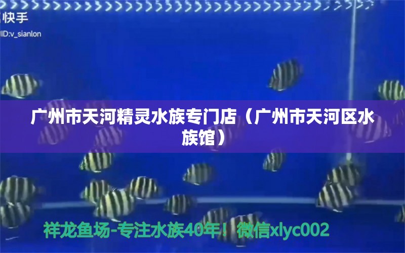 广州市天河精灵水族专门店（广州市天河区水族馆） 全国水族馆企业名录