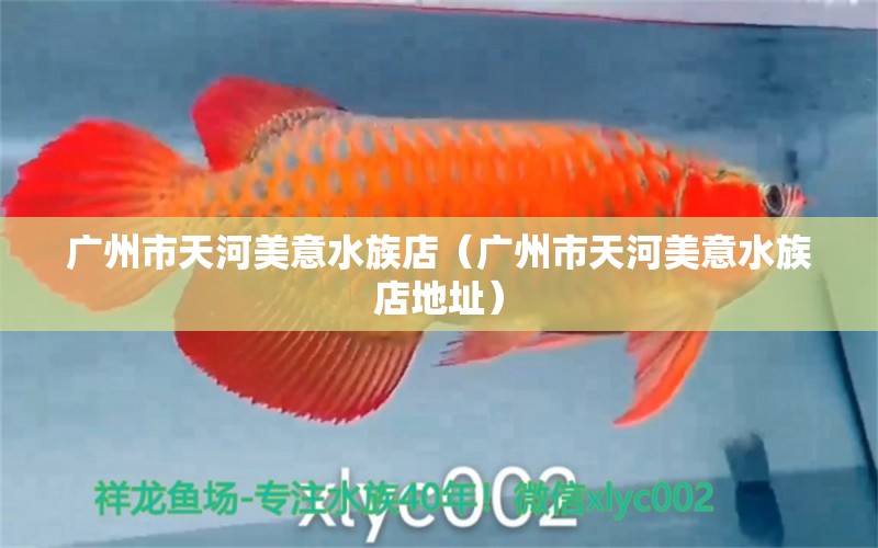 广州市天河美意水族店（广州市天河美意水族店地址）