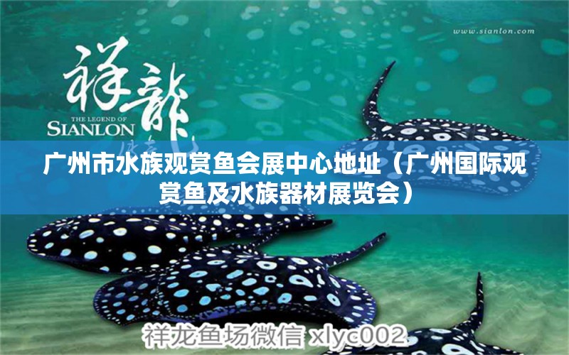 广州市水族观赏鱼会展中心地址（广州国际观赏鱼及水族器材展览会）