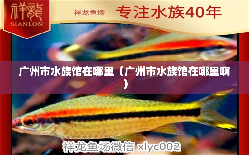 广州市水族馆在哪里（广州市水族馆在哪里啊） 观赏鱼