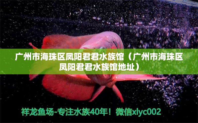 广州市海珠区凤阳君君水族馆（广州市海珠区凤阳君君水族馆地址）