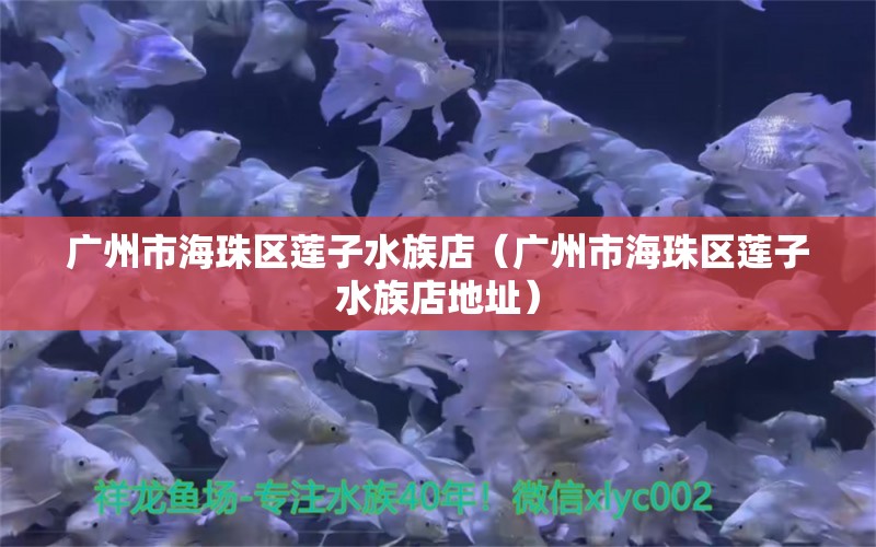 广州市海珠区莲子水族店（广州市海珠区莲子水族店地址） 全国水族馆企业名录