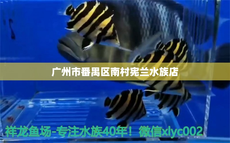 广州市番禺区南村宪兰水族店 全国水族馆企业名录