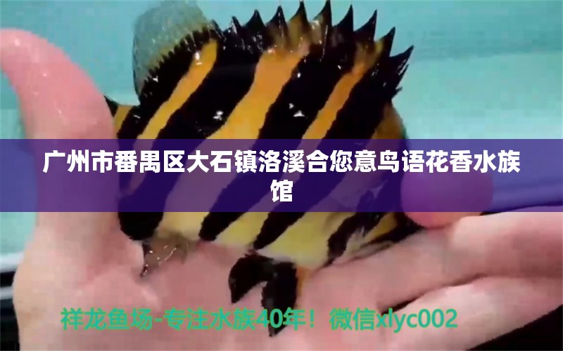 广州市番禺区大石镇洛溪合您意鸟语花香水族馆 全国水族馆企业名录