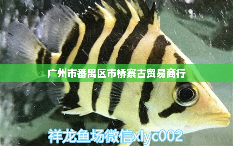 广州市番禺区市桥寨古贸易商行 全国水族馆企业名录