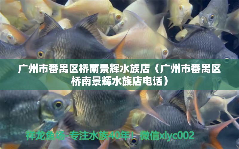 广州市番禺区桥南景辉水族店（广州市番禺区桥南景辉水族店电话） 全国水族馆企业名录