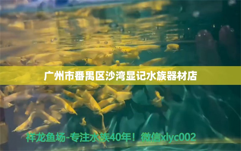 广州市番禺区沙湾显记水族器材店 全国水族馆企业名录