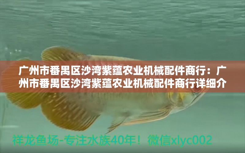 广州市番禺区沙湾紫蕴农业机械配件商行：广州市番禺区沙湾紫蕴农业机械配件商行详细介绍 全国观赏鱼市场 第2张