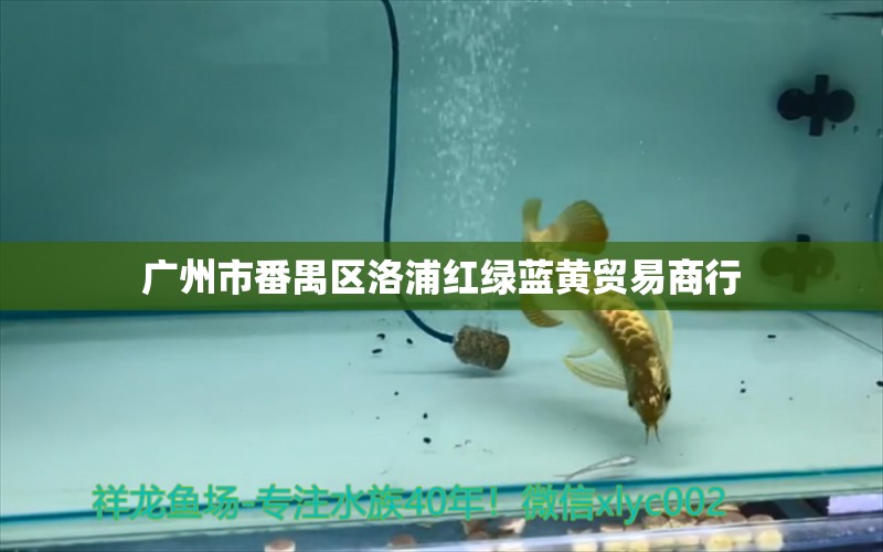 广州市番禺区洛浦红绿蓝黄贸易商行 全国水族馆企业名录