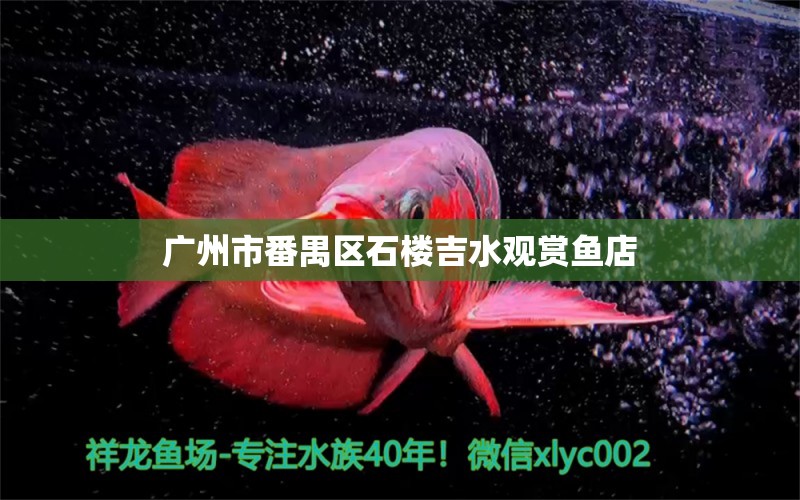 广州市番禺区石楼吉水观赏鱼店 全国水族馆企业名录