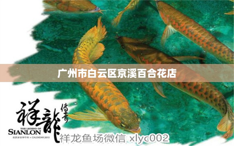 广州市白云区京溪百合花店 全国水族馆企业名录