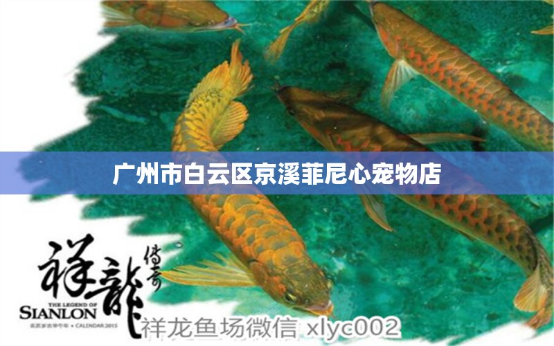 广州市白云区京溪菲尼心宠物店 全国水族馆企业名录