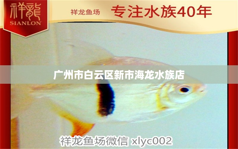 广州市白云区新市海龙水族店 全国水族馆企业名录