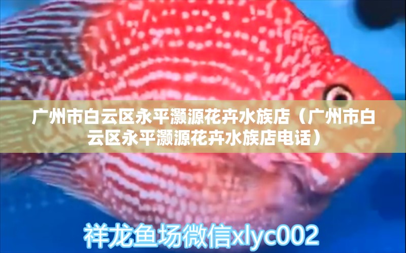 广州市白云区永平灏源花卉水族店（广州市白云区永平灏源花卉水族店电话）