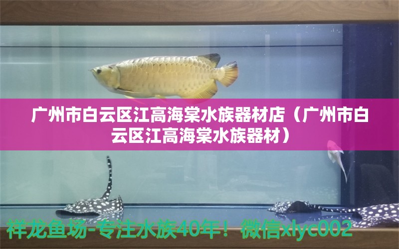 广州市白云区江高海棠水族器材店（广州市白云区江高海棠水族器材） 全国观赏鱼市场 第2张