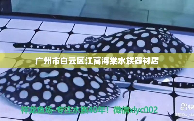 广州市白云区江高海棠水族器材店 全国水族馆企业名录