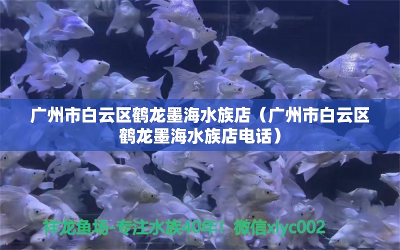 广州市白云区鹤龙墨海水族店（广州市白云区鹤龙墨海水族店电话）