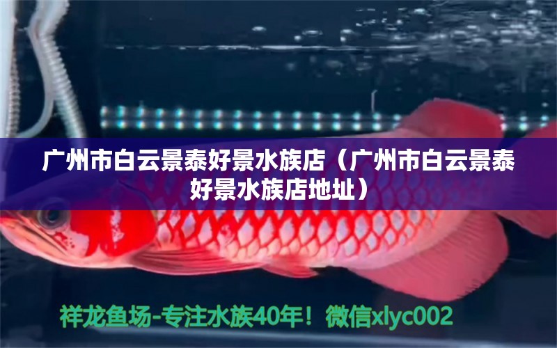 广州市白云景泰好景水族店（广州市白云景泰好景水族店地址）