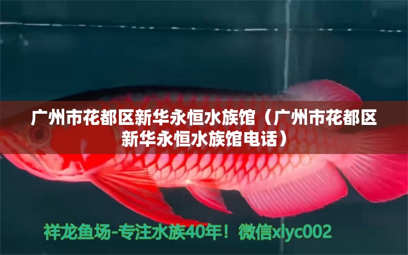 广州市花都区新华永恒水族馆（广州市花都区新华永恒水族馆电话） 全国水族馆企业名录