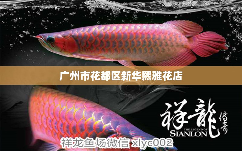 广州市花都区新华熙雅花店 全国水族馆企业名录