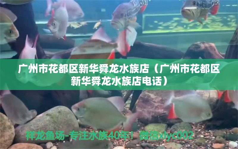 广州市花都区新华舜龙水族店（广州市花都区新华舜龙水族店电话） 全国水族馆企业名录