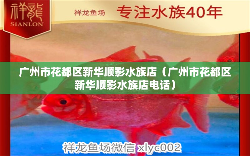 广州市花都区新华顺影水族店（广州市花都区新华顺影水族店电话）