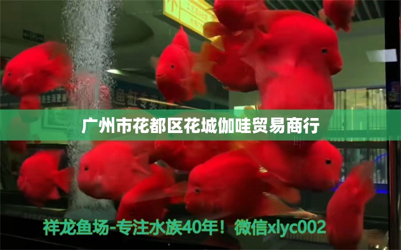 广州市花都区花城伽哇贸易商行 全国水族馆企业名录