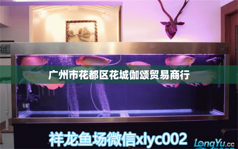 广州市花都区花城伽颂贸易商行 全国水族馆企业名录