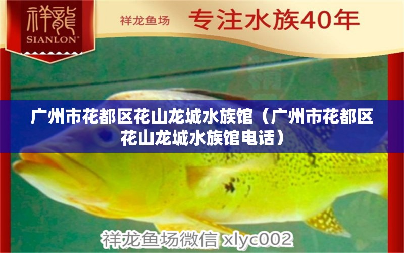 广州市花都区花山龙城水族馆（广州市花都区花山龙城水族馆电话） 全国水族馆企业名录