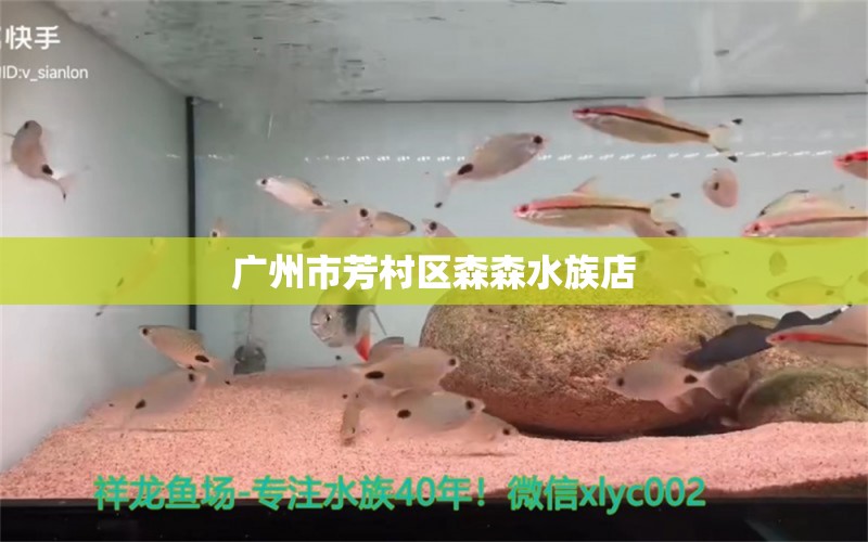 广州市芳村区森森水族店 全国水族馆企业名录