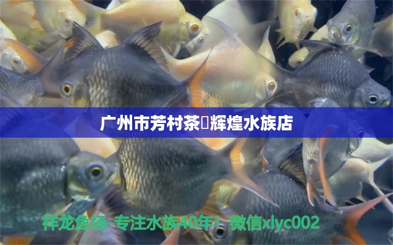 广州市芳村茶辉煌水族店 全国水族馆企业名录