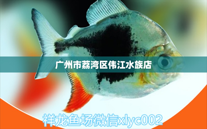 广州市荔湾区伟江水族店 全国水族馆企业名录