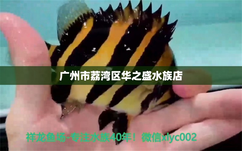 广州市荔湾区华之盛水族店 全国水族馆企业名录