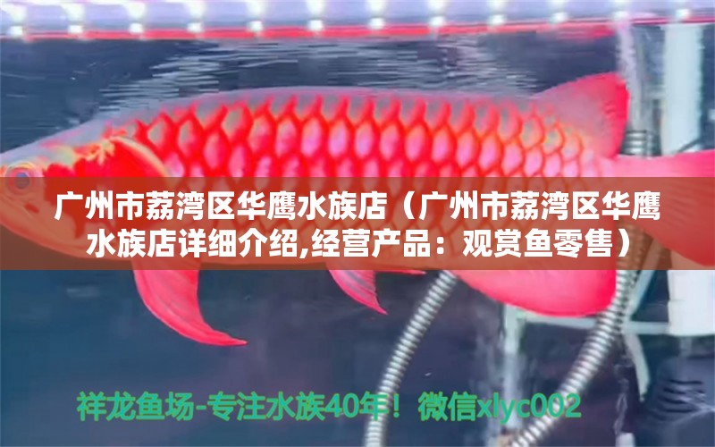 广州市荔湾区华鹰水族店（广州市荔湾区华鹰水族店详细介绍,经营产品：观赏鱼零售）