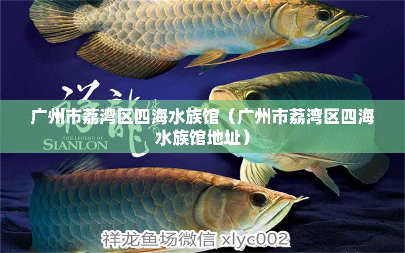 广州市荔湾区四海水族馆（广州市荔湾区四海水族馆地址）